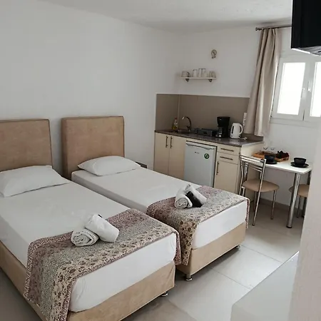 Διαμέρισμα Nikolas House Close To Town